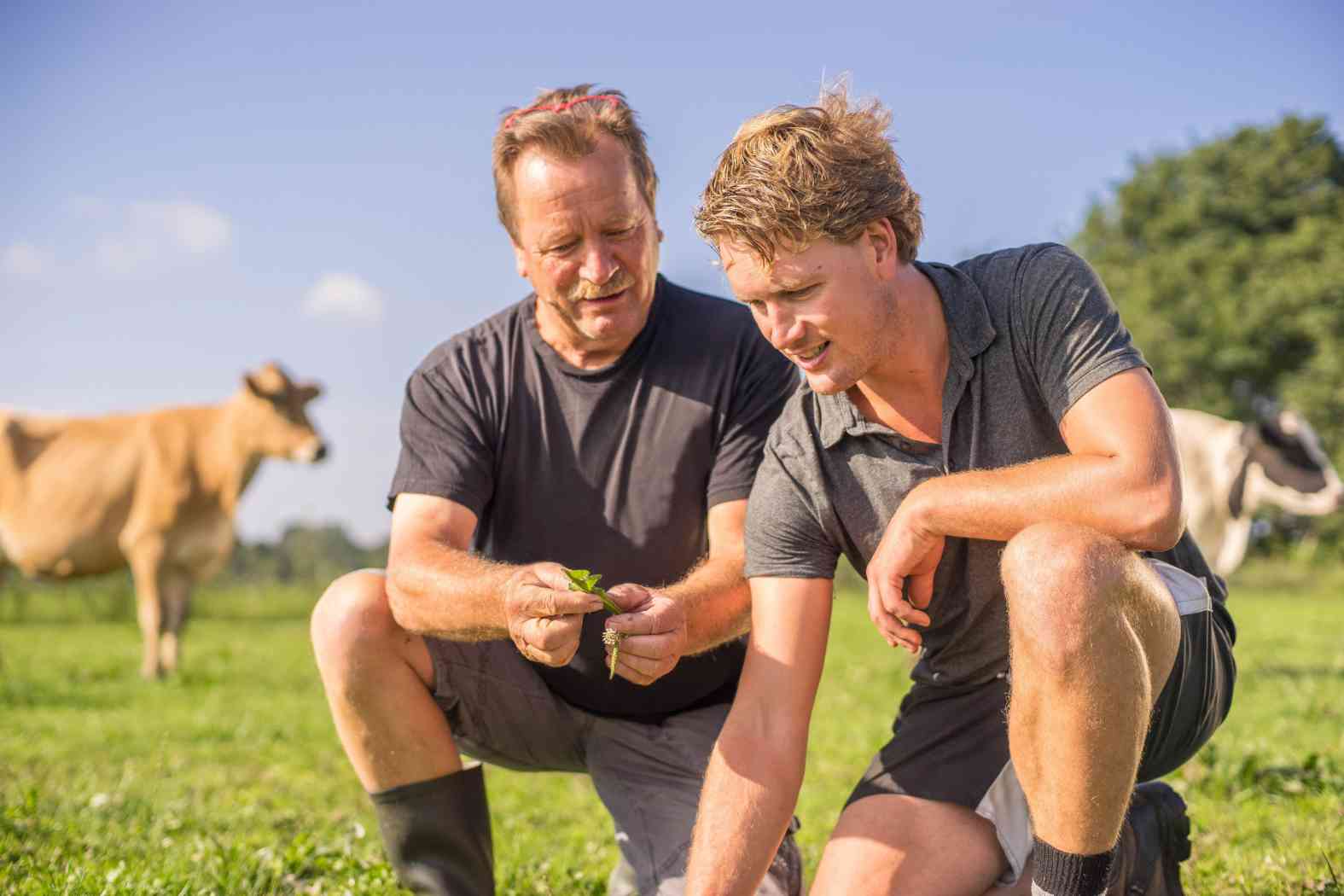 Bastiaansen Website-06375_1575x1050