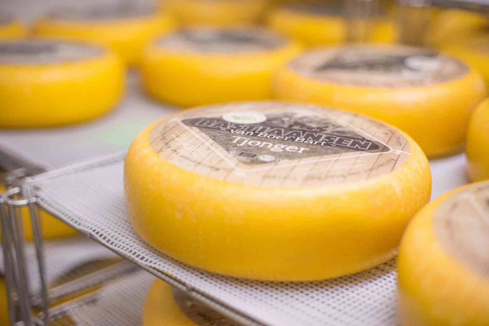 Bastiaansen Website-08930_1575x1050