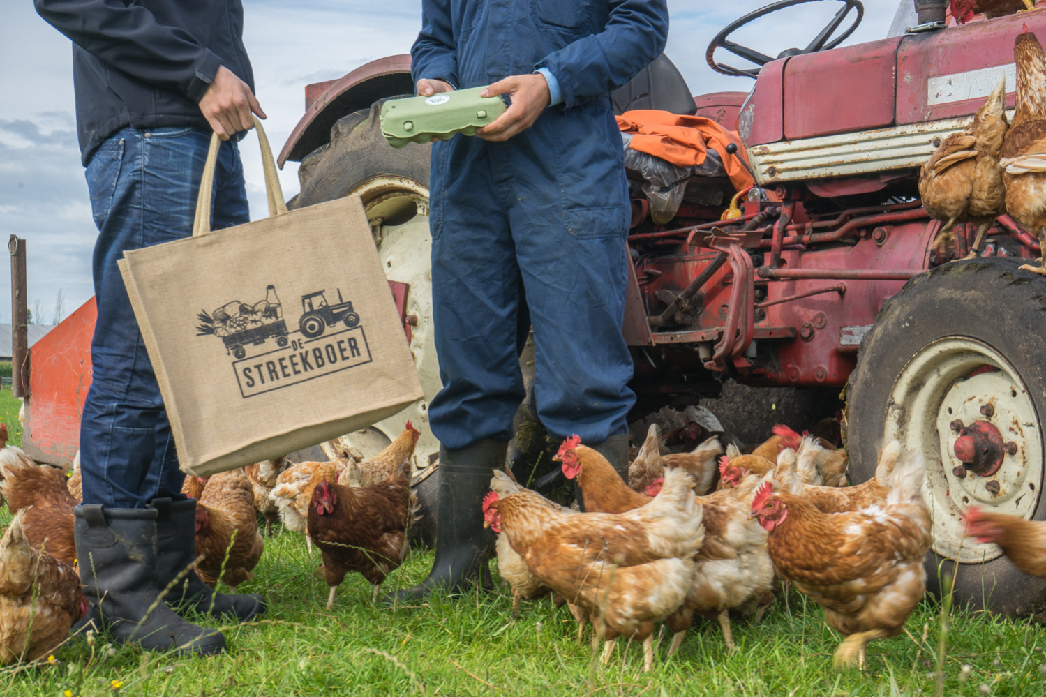 Boer – Boer Bart (1)